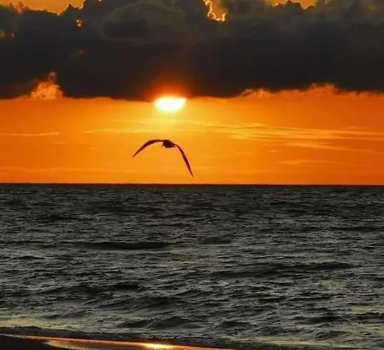 Centre - Superbe Climatise - Cosy-wifi - Apartman